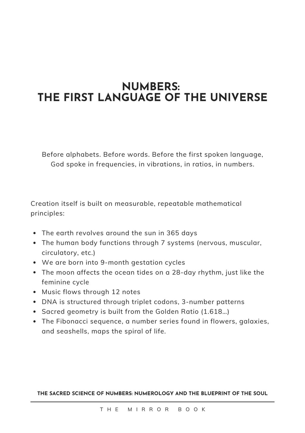 The Mirror Book - Hard Cover