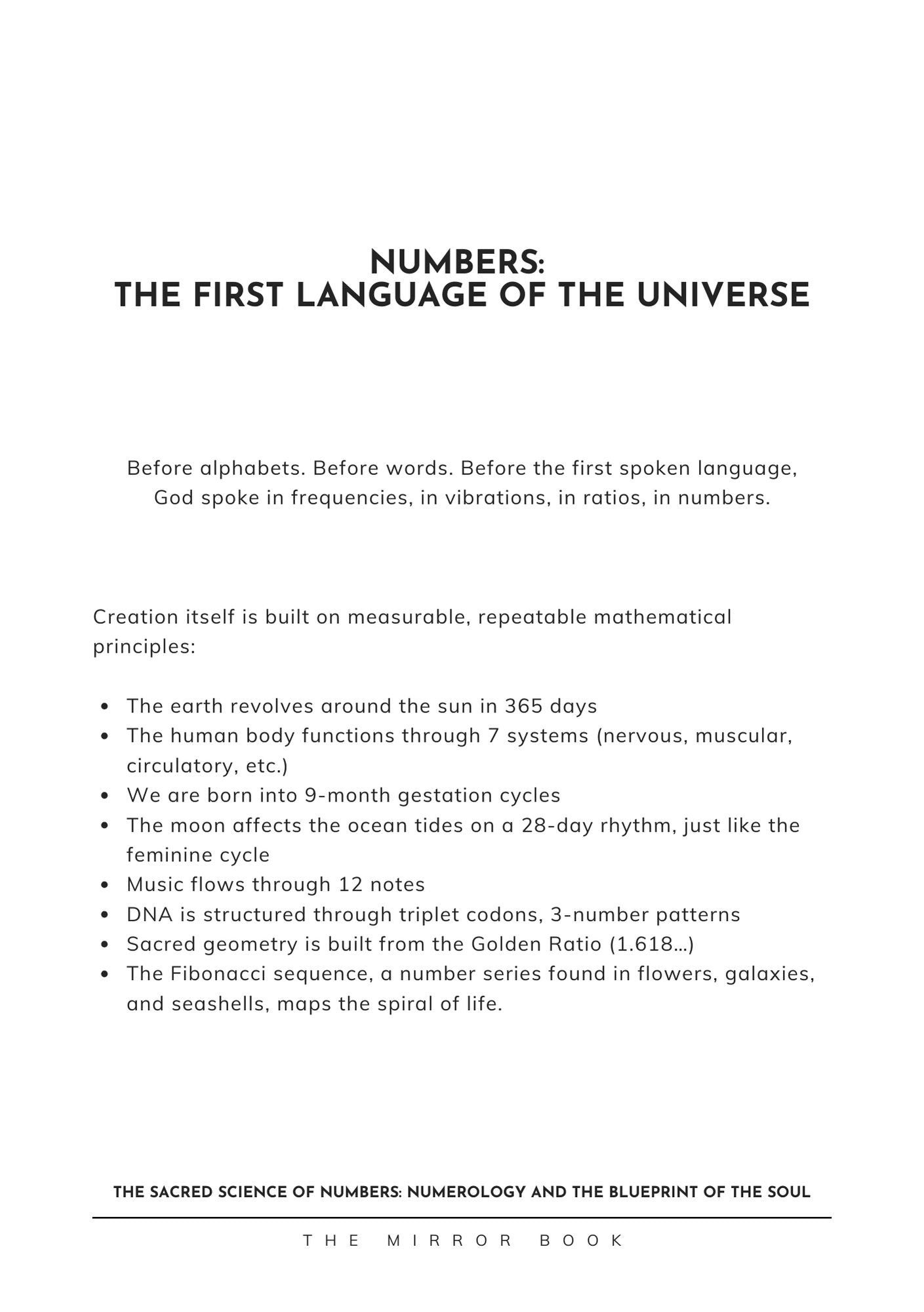 The Mirror Book - e-Book