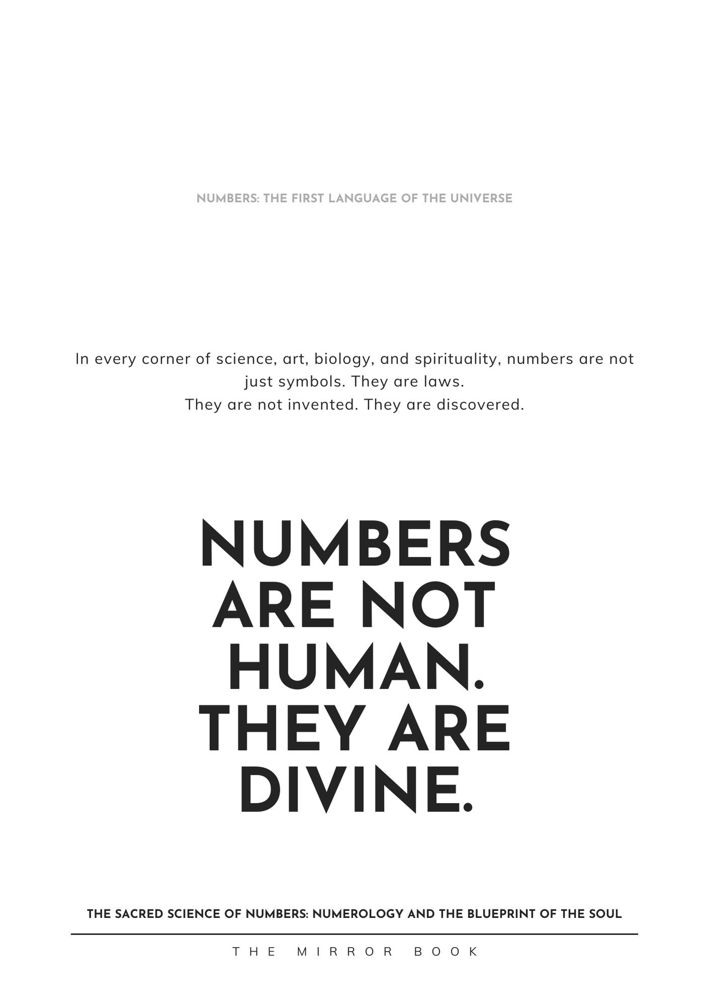 The Mirror Book - e-Book