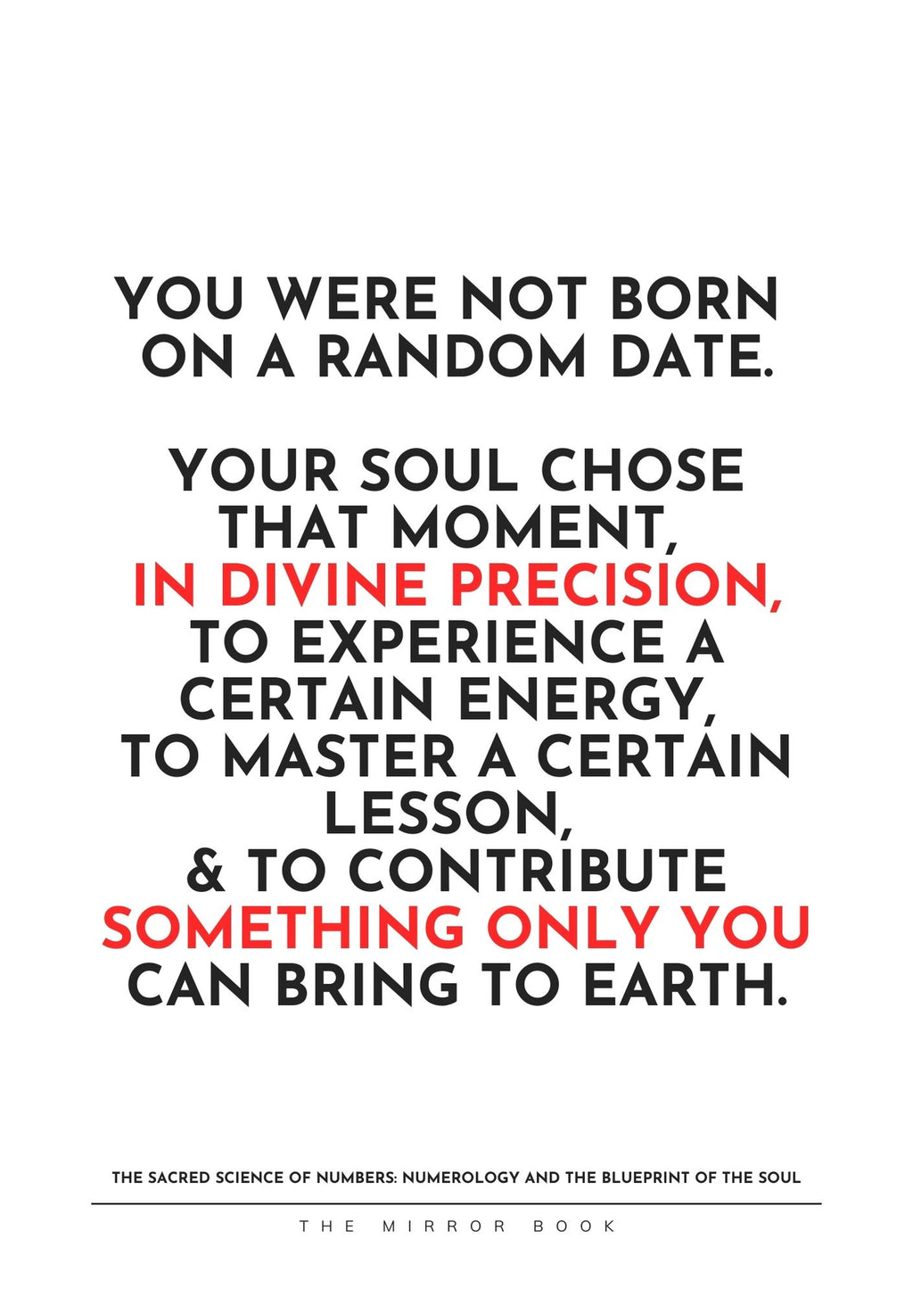 The Mirror Book - Hard Cover