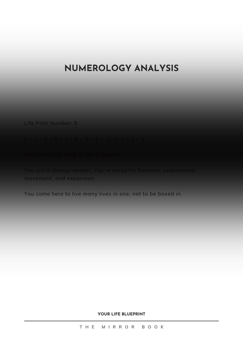 The Mirror Book - Hard Cover