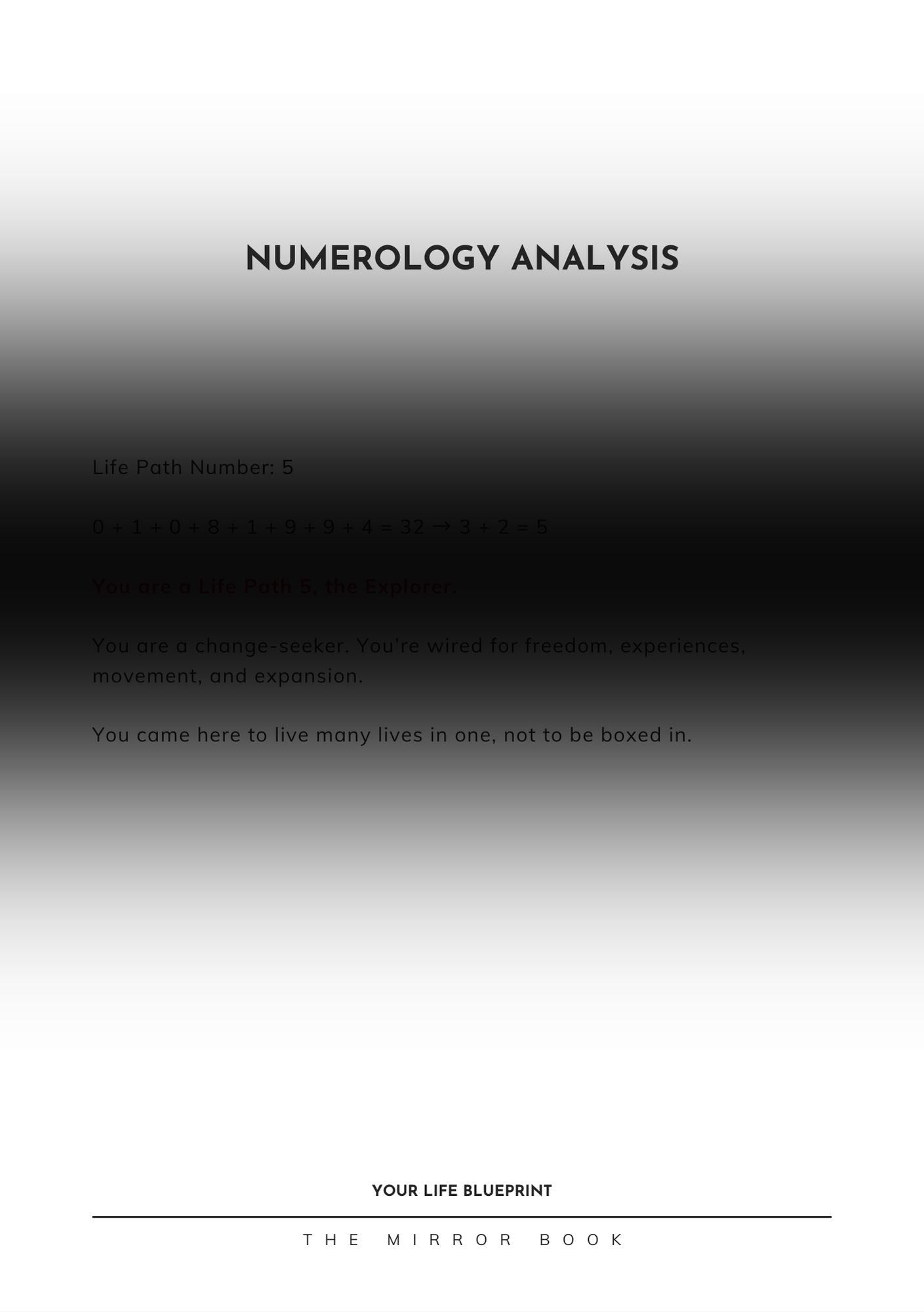 The Mirror Book - e-Book