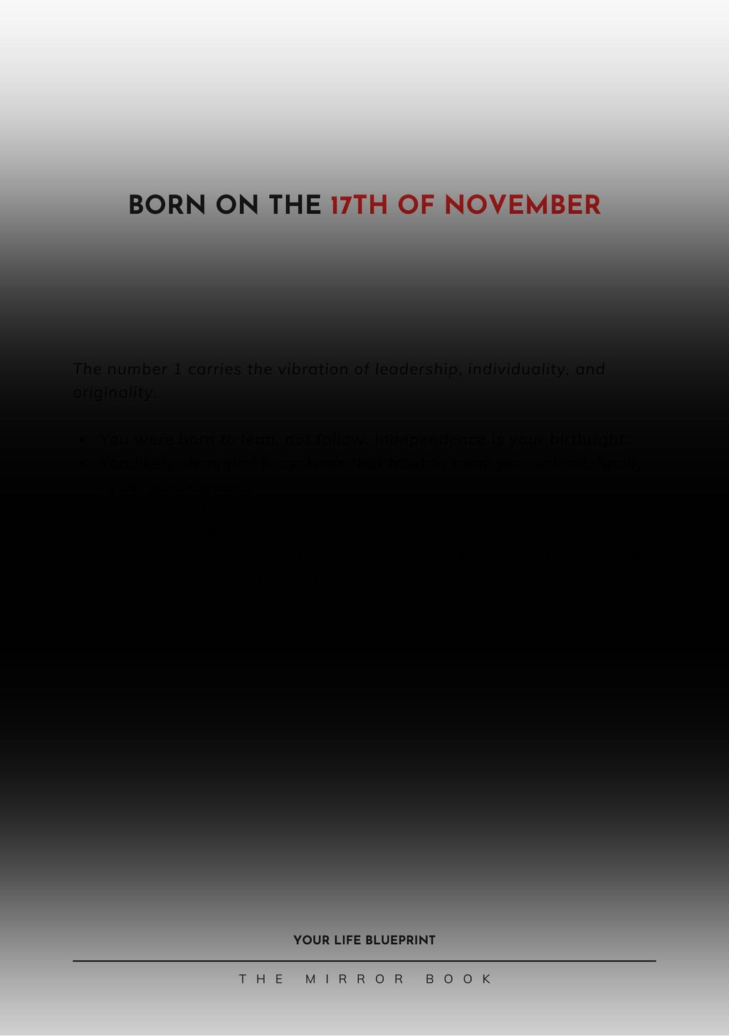 The Mirror Book - Hard Cover