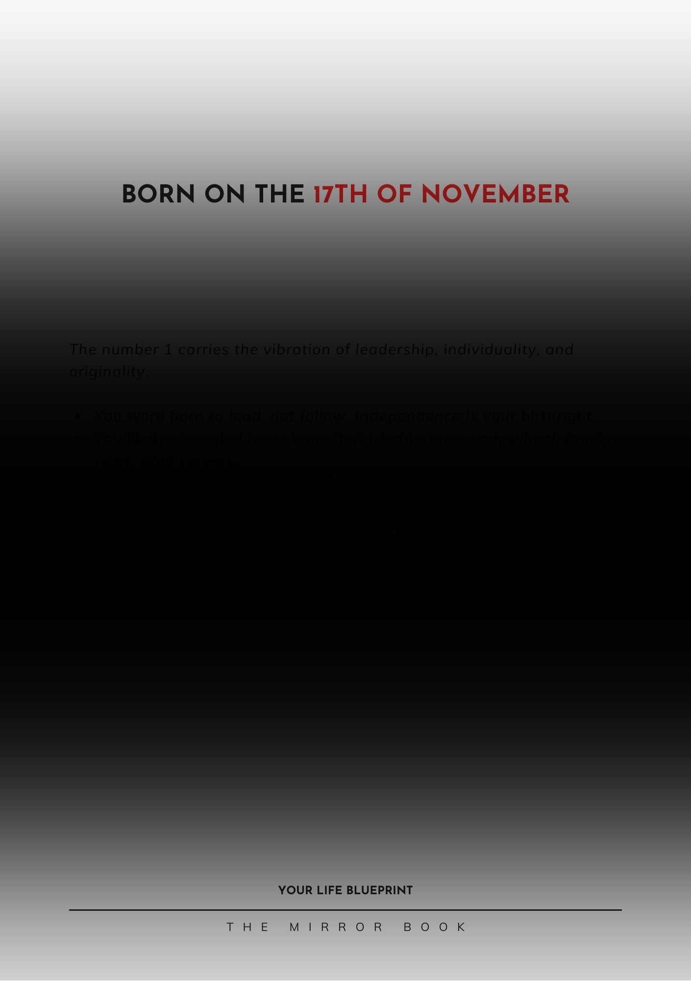 The Mirror Book - e-Book